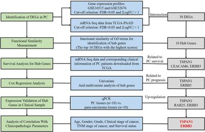 Screening and Validation of Independent Predictors of Poor Survival in Pancreatic Cancer